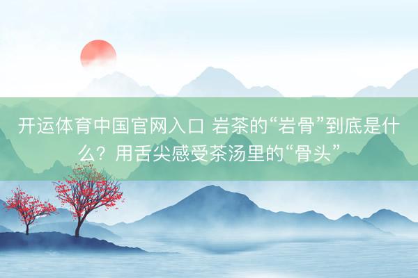 开运体育中国官网入口 岩茶的“岩骨”到底是什么？用舌尖感受茶汤里的“骨头”