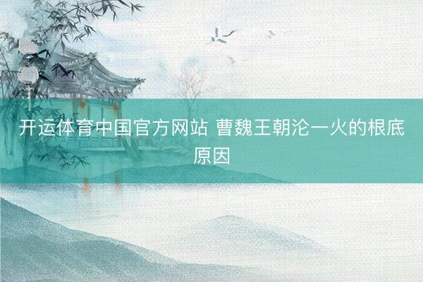 开运体育中国官方网站 曹魏王朝沦一火的根底原因