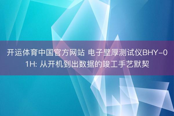 开运体育中国官方网站 电子壁厚测试仪BHY-01H: 从开机到出数据的竣工手艺默契