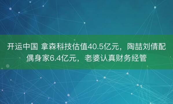 开运中国 拿森科技估值40.5亿元,陶喆刘倩配偶身家6.4亿元,老婆认真财务经管