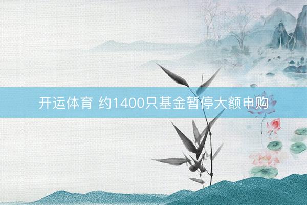 开运体育 约1400只基金暂停大额申购